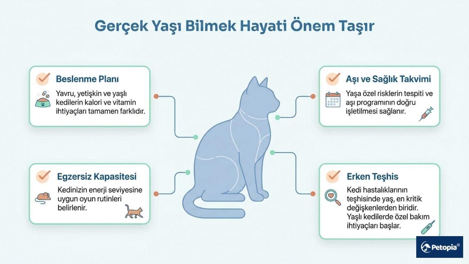 "Gerçek Yaşı Bilmek Hayati Önem Taşır" başlıklı, bir kedi silüeti çevresinde beslenme planı, egzersiz kapasitesi, aşı ve sağlık takvimi ile erken teşhisin önemini açıklayan infografik şema