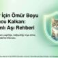 Kedi Asi Takvimi 85x85