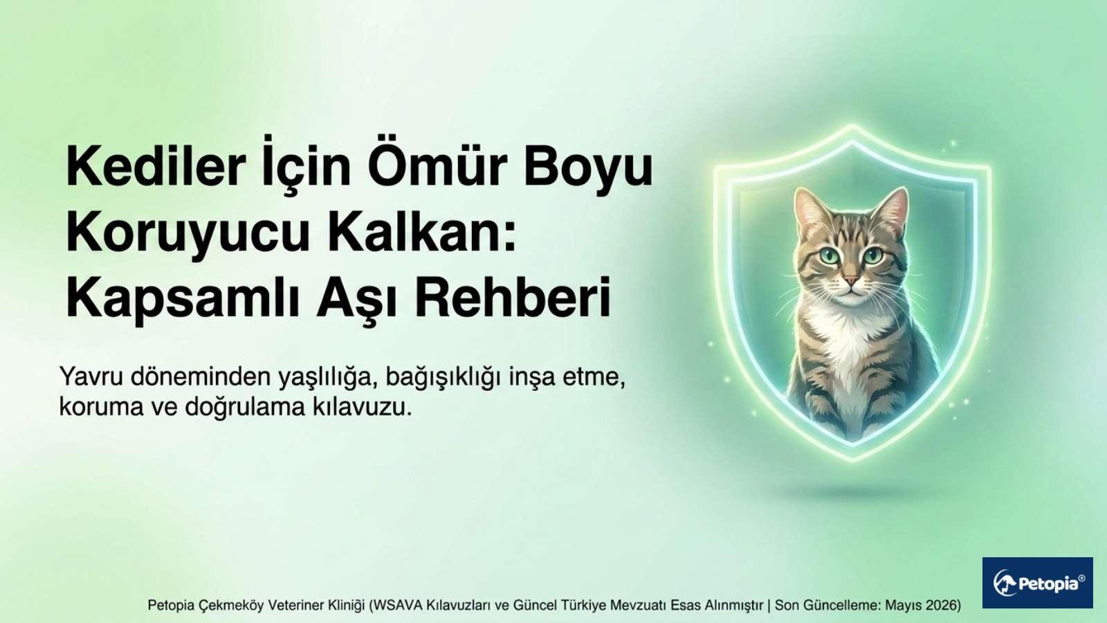 kedi-asi-takvimi