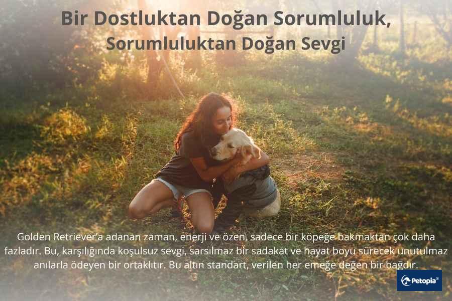 golden-retriever-irki-kopeginizinsaglik-sorunlari-icin-cekmekoy-veteriner