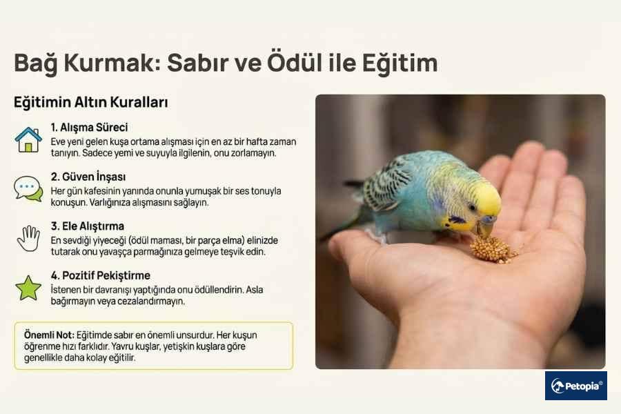 muhabbet-kusu-ile-bag-kurmak