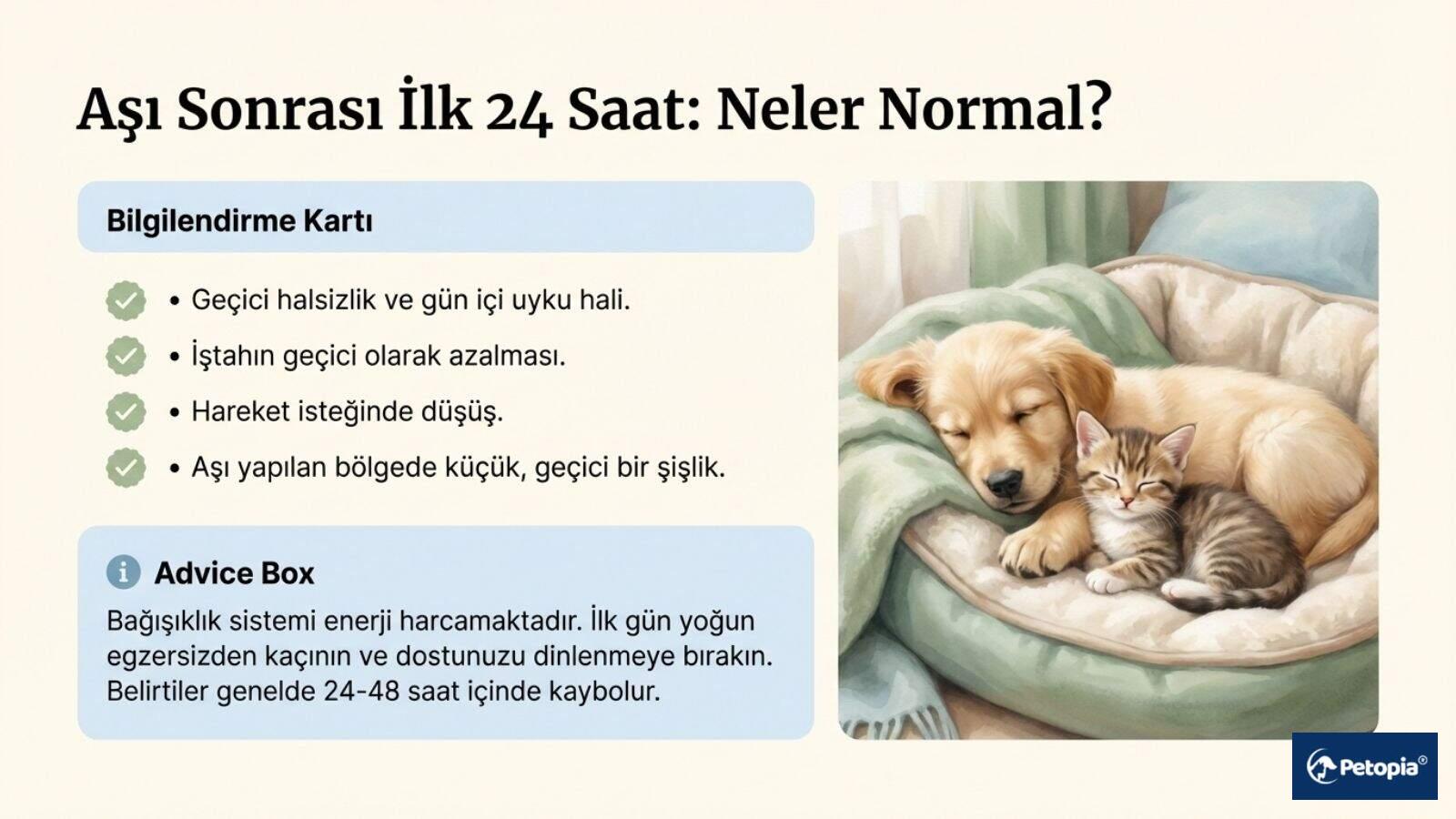 Aşı Sonrası ilk 24 Saat