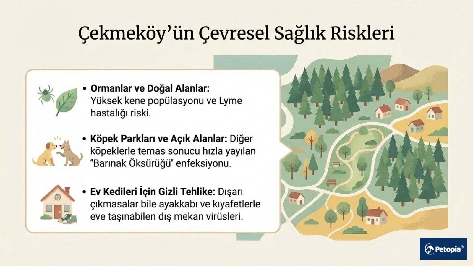 Çekmeköy Bölgesinde Evcil Hayvanlar İçin Sağlık Riskleri