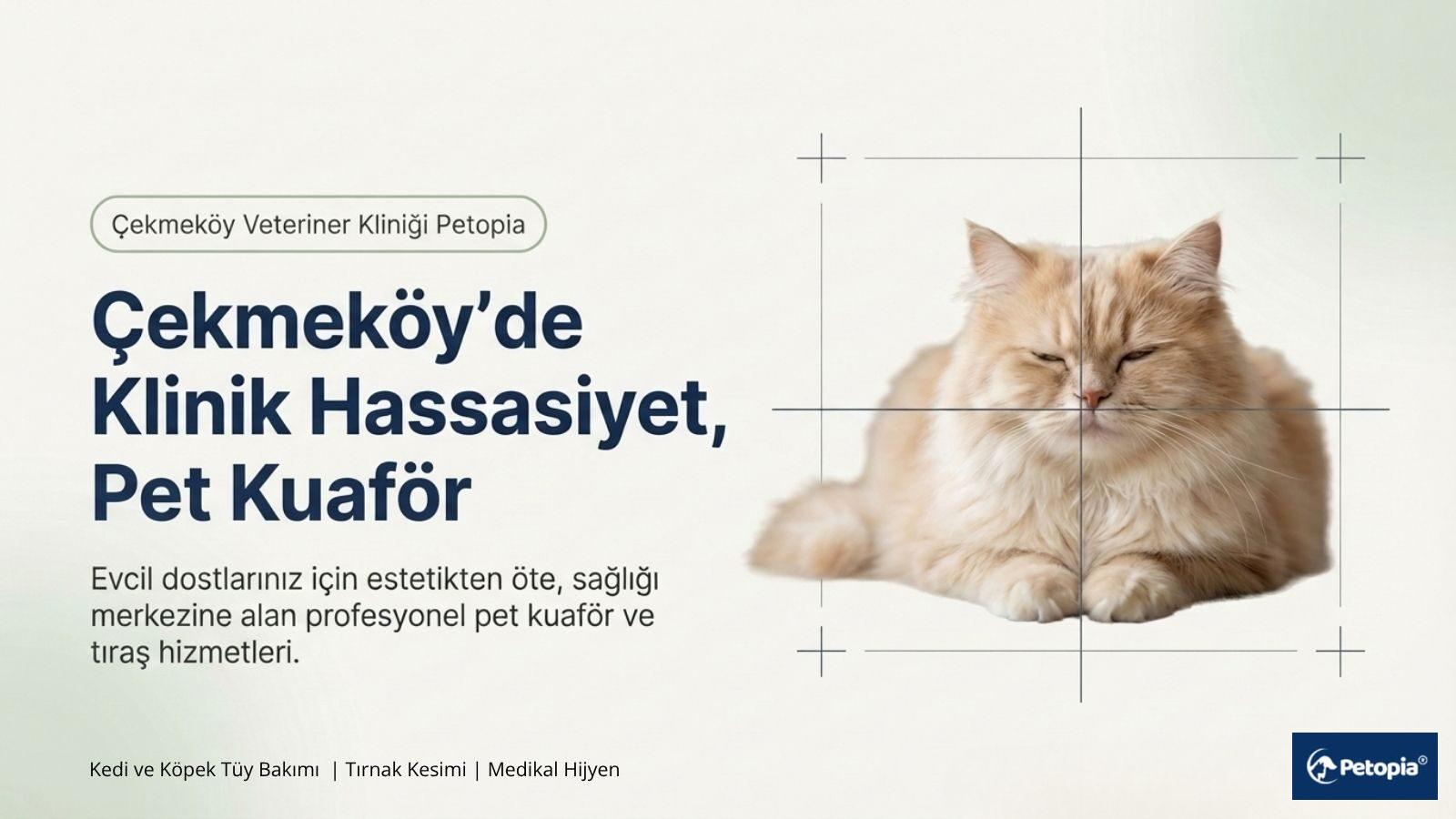 ce-kmekoy-pet-kuafor-kedi-kopek-tirasi