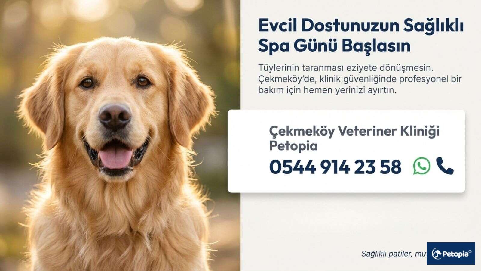 cekmekoy-pet-kuafor