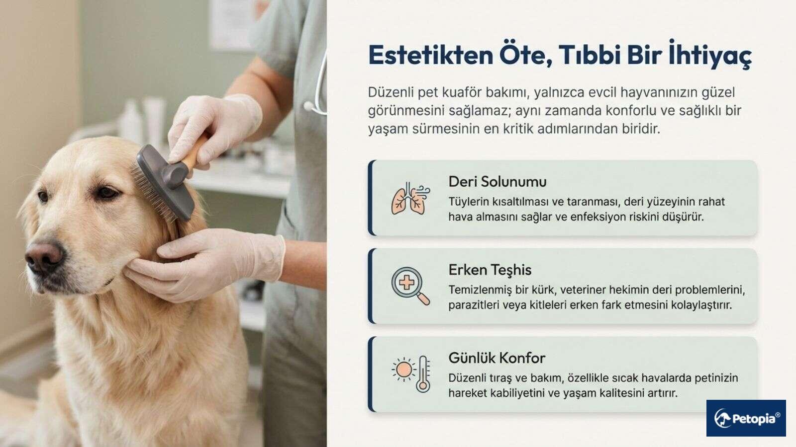 evcil-hayvanim-neden-tiras-olmali
