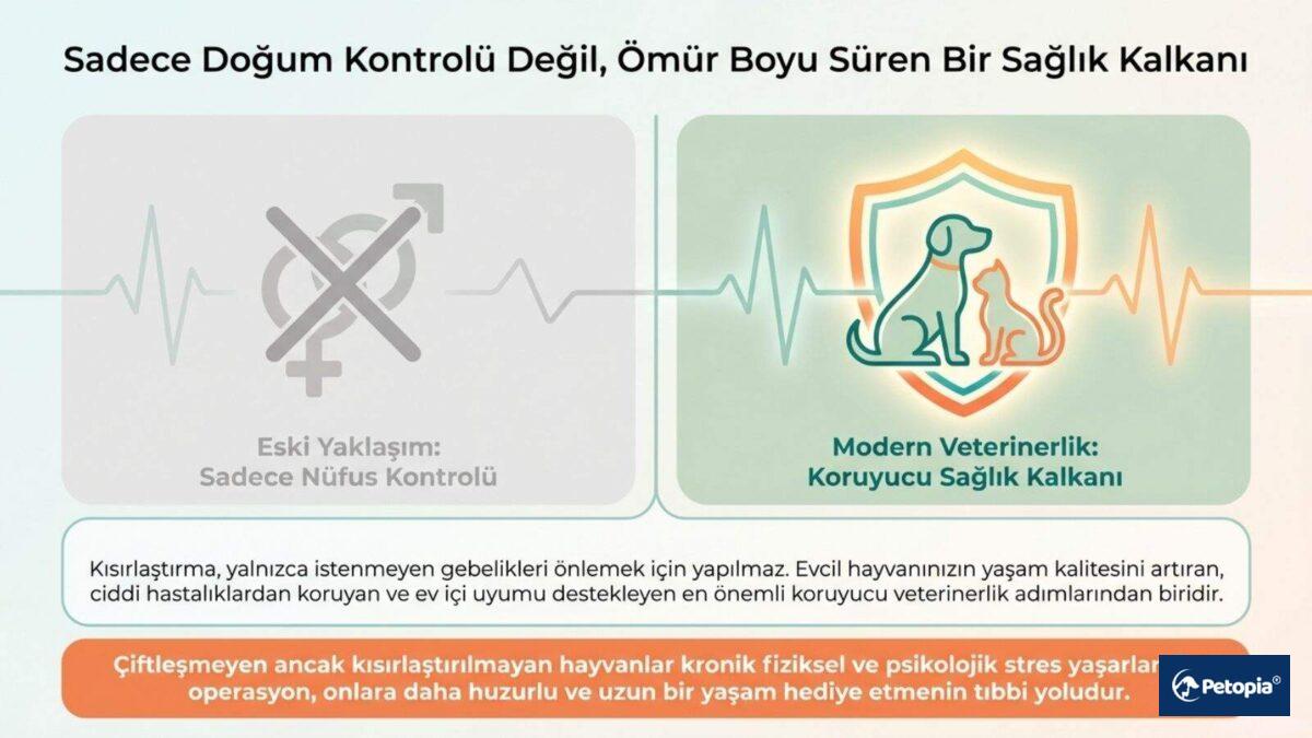 kisirlastirma-nedengereklidir