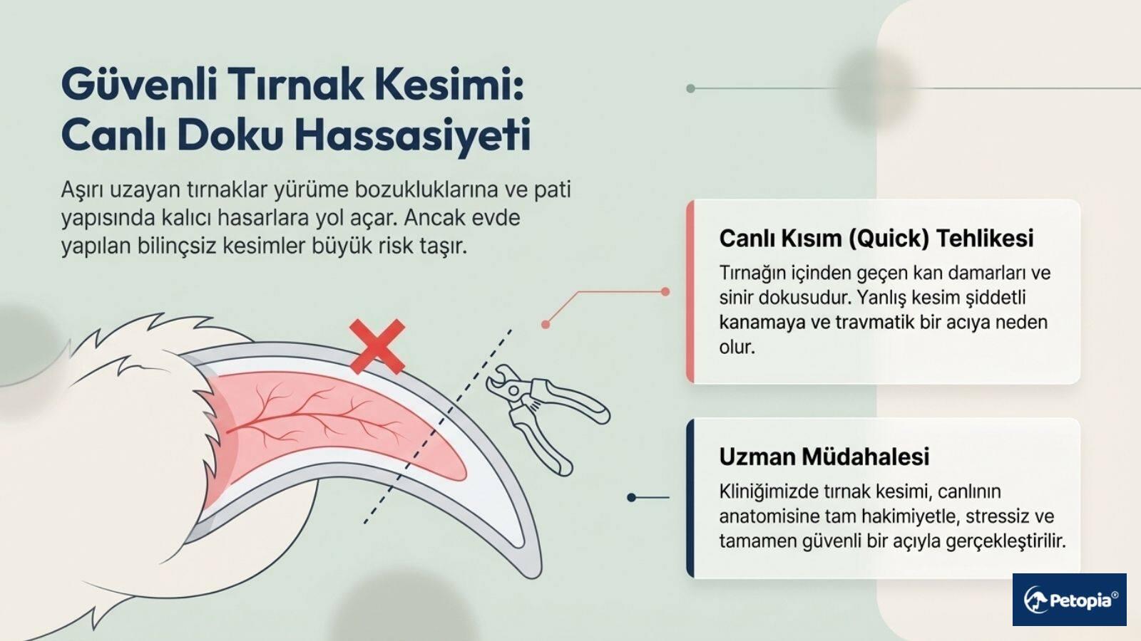 pet-tirnak-kesimi