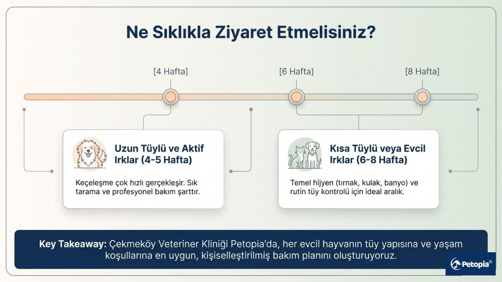 petinizin-kuafor-sikligi-ne-olmali