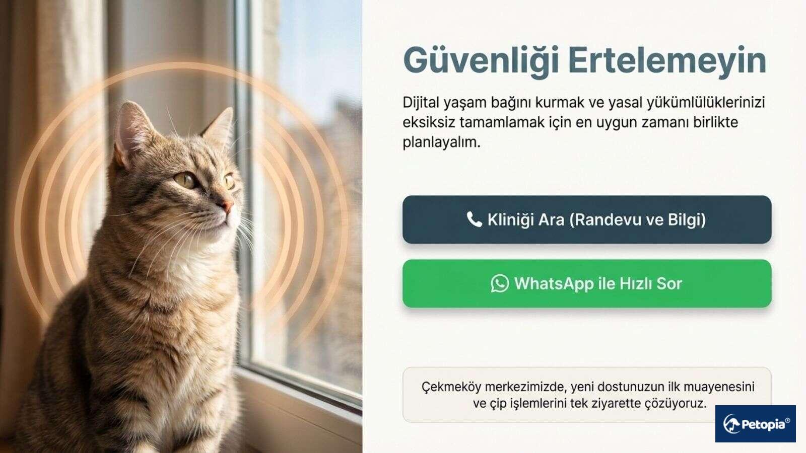 cekmekoyde-kedi-ve-kopekler-icin-mşkroıcip-uygulamasi