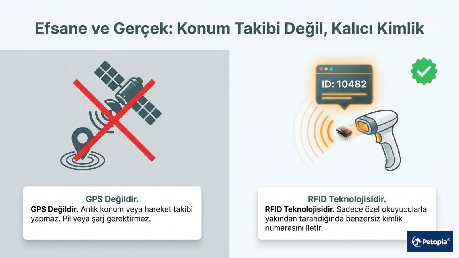 Evcil Hayvanlarda Mikroçip Neden Gereklidir