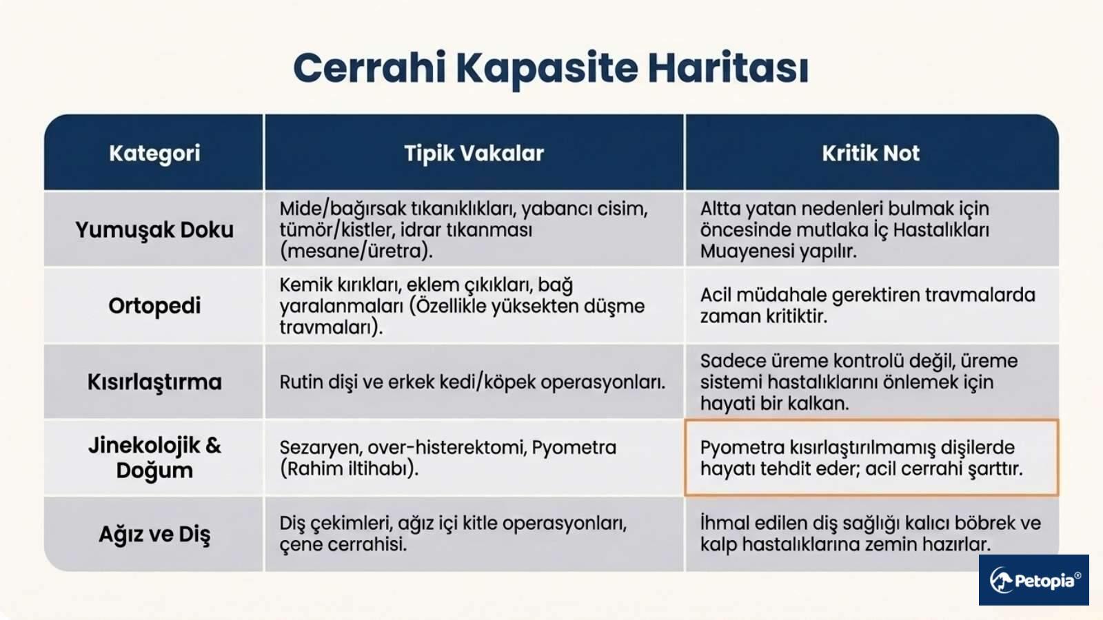 Çekmeköy Petopiada Uygulanan Cerrahi İşlemler