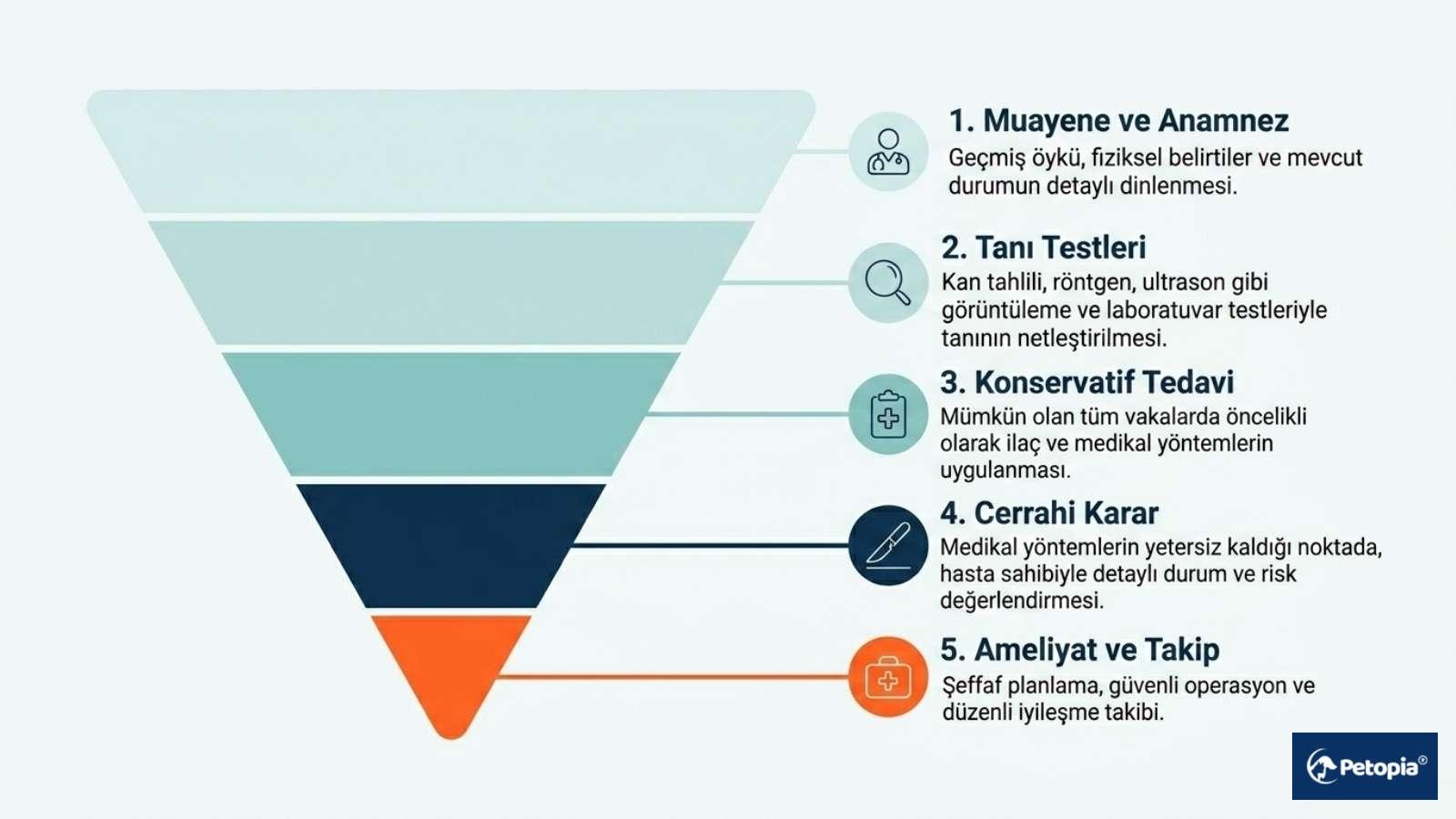 Vereriner Cerrahi Uygulama Karar Süreci