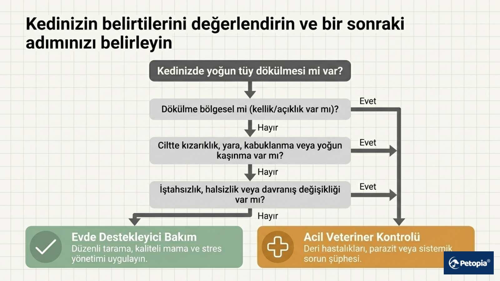 Kedinizde Tüy dökülmesi ile İlgili Belirtileri İzleyin ve Sonraki Adımı Değerlendirin!