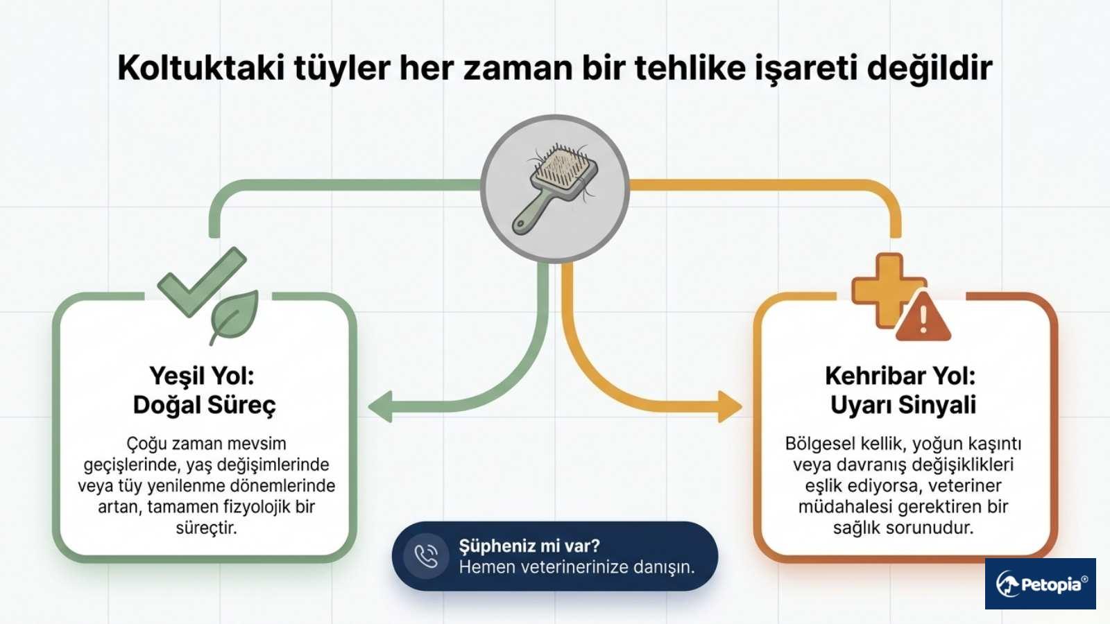 Kedilerde Tüy Dökülmesi Ne Zaman Normal Kabul Edilir?